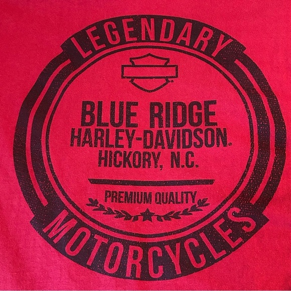 Harley Davidson Blue Ridge Hickory V Twin Spellout Red Long Sleeve T-Shirt Sz L - Picture 6 of 11